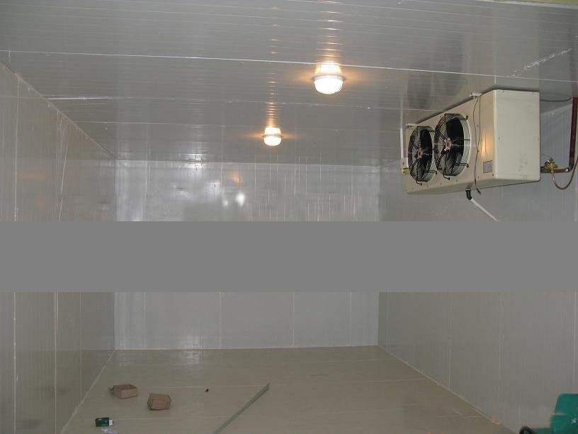 為什么商家一定要建冷庫？背后有多少利潤？